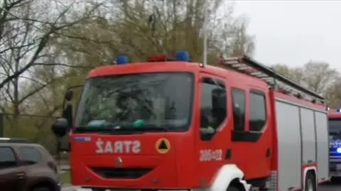 blur toyota plus mazda