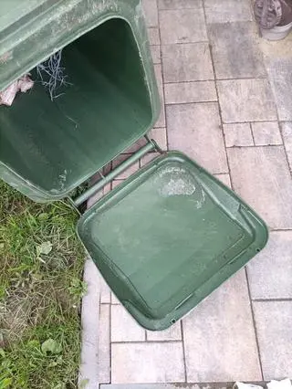 Odcisk łapy niedźwiedzia na pokrywie pojemnika na śmieci