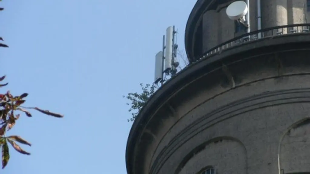 Zielone akcenty