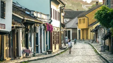 shutterstock_2419751069