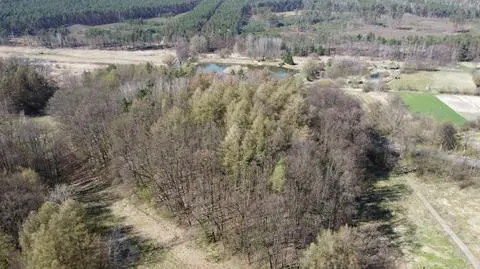 Na wzniesieniu, na którym stał zamek, potrzebne są badania archeologiczne. Póki co penetrują je rabusie