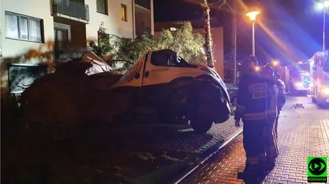 Drzewo spadło na samochody w Szczecinie