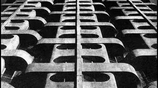 Sedesowce w 1972 roku