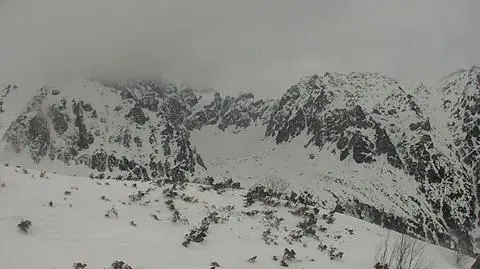 Po silnym wietrze lawinowa "trójka" w Tatrach. "Na szlaki mogą spadać gałęzie i drzewa"