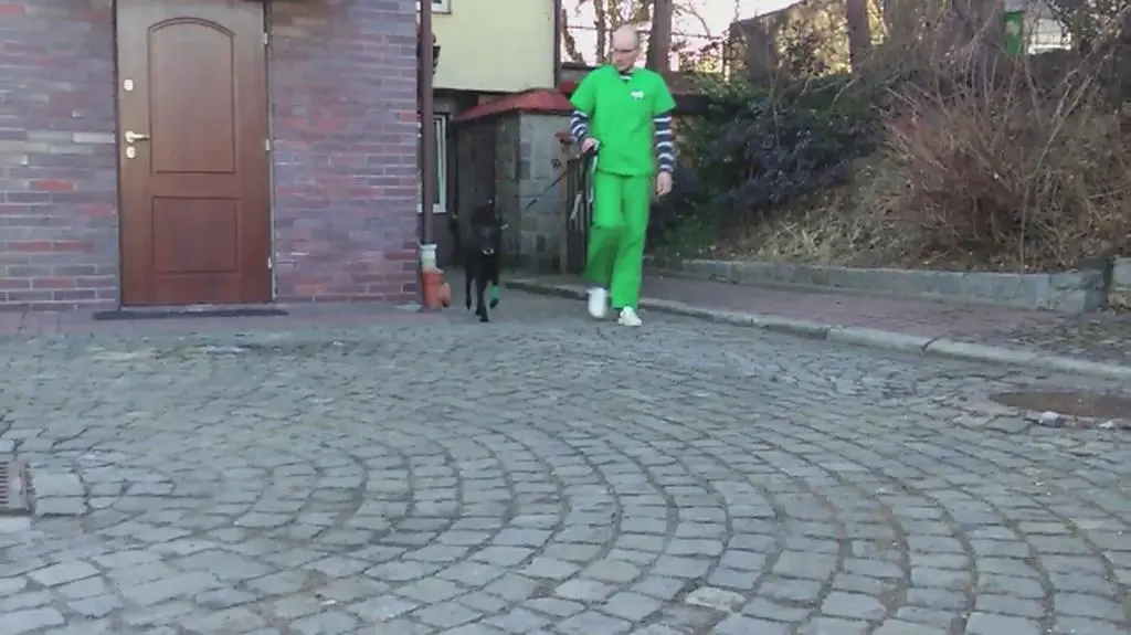 Wiktor dobrzeje w przychodni weterynaryjnej