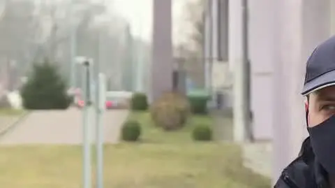 pszczoly 1