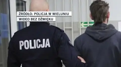 Podejrzanemu grozi do 10 lat więzienia