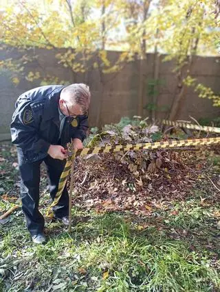 Kopce dla jeży w Pabianicach