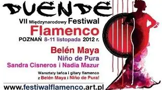 Banner VII Festiwalu Flamenco 
