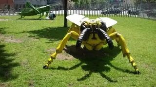 Owady giganty w Starym Browarze
