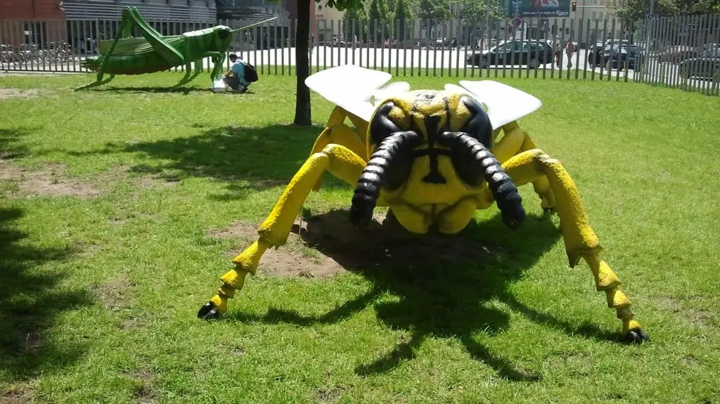 Owady giganty w Starym Browarze