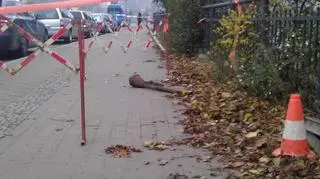 Granatnik zabrali saperzy