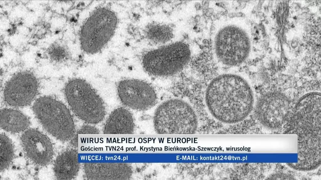wirusolog 2