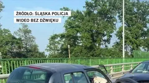 śląska policja