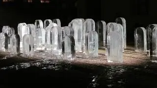 Instalacja artysty poprzedziła marsz