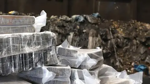 Niemieccy celnicy przejęli rekordowy ładunek kokainy