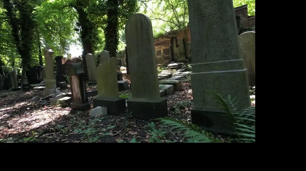 cmentarz 