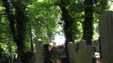 cmentarz 