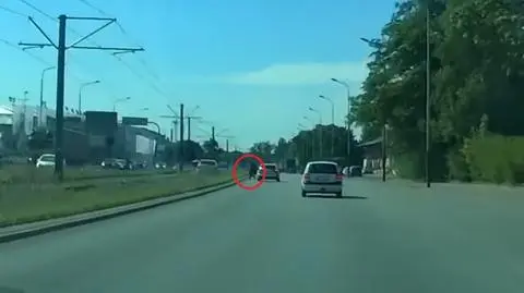 Pieszy wszedł w niedozwolonym miejscu. Samochód wpadł na torowisko tramwajowe. 