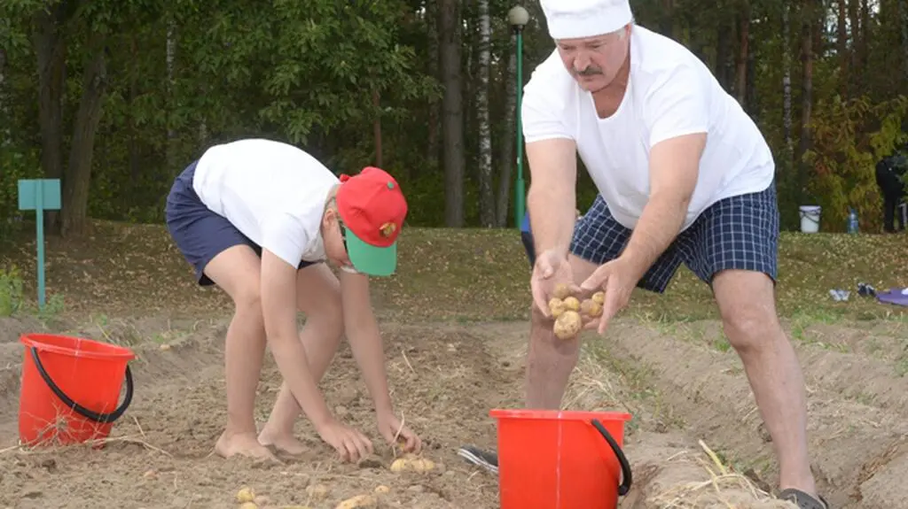 Prezydent z Kolą na kartoflisku