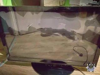 33-latek jest podejrzany o zniszczenie samochodu, stłuczenie okna i rozbicie telewizora