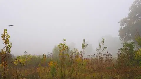 Jesień, mgła, mżawka