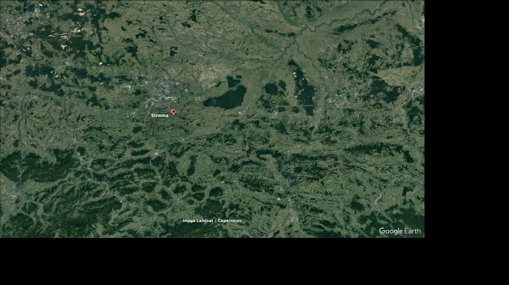 stroma