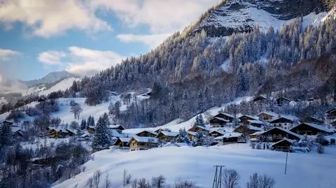 shutterstock_1457245649