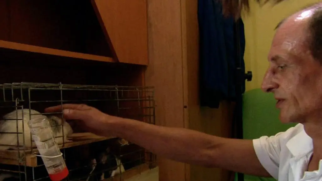 Jak my liczyliśmy to wyszło trochę więcej