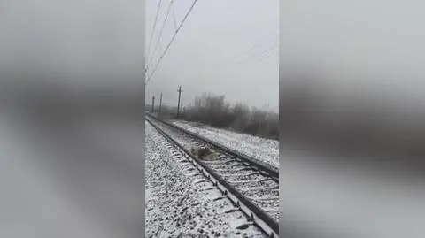 Ona nie mogła się ruszyć, on przy niej czuwał