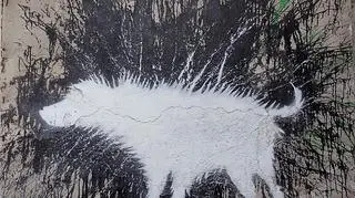 Graffiti "Wet Dog" z 2007 roku