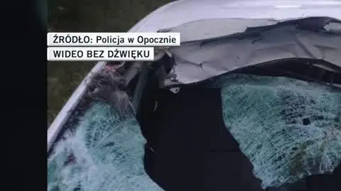 Policja w Opocznie