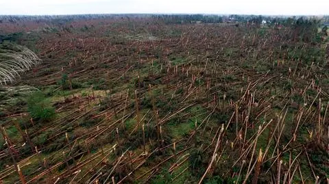Struk: stałem się ustami tych którzy czekali na pomoc