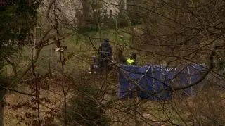 Działka, która należała do działków Pawła P., została przetrząśnięta ponownie w 2020 roku