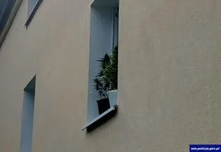 Doniczki stały na parapecie