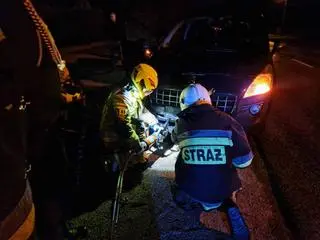 Strażacy wyciągali zakleszczonego w zderzaku psa