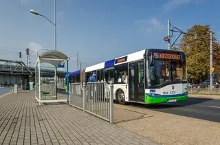 W Szczecinie wszyscy pojadą za darmo 