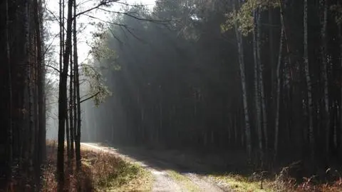 Pogoda na dziś: słoneczna aura, do 19 stopni Celsjusza