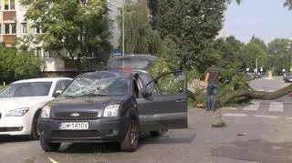 Samochód zniszczony przez konar