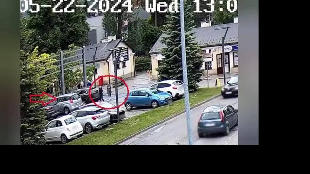 41-815849
