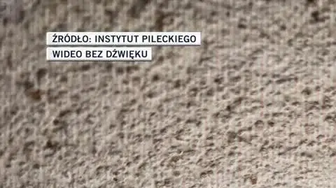 napisy 