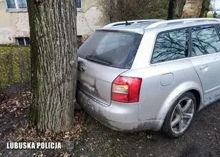 Mężczyzna uderzył w drzewo