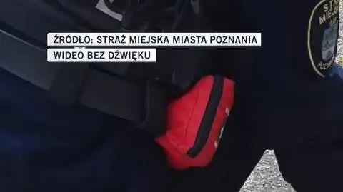 slideshow poznan