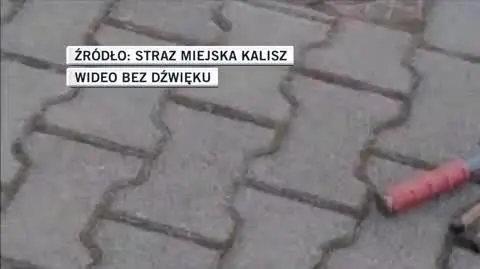 szpak 