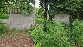 Nagie ciało kobiety w centrum Raciborza