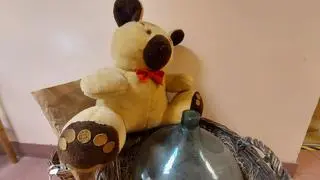 Włamywacze spod Łęczycy