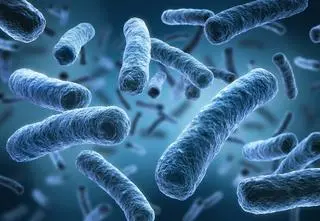 Legionella w śląskim szpitalu