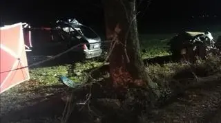 Samochód uderzył w dzika, potem w drzewo