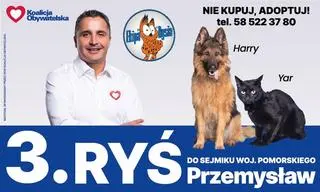 Plakat Przemysława Rysia