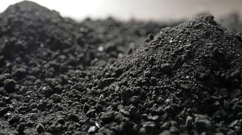 Parliament approves one-off subsidy to coal-using households